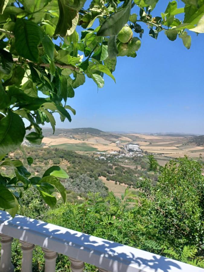 Nuevo Loft El Carpintero Apartman Vejer de la Frontera Kültér fotó